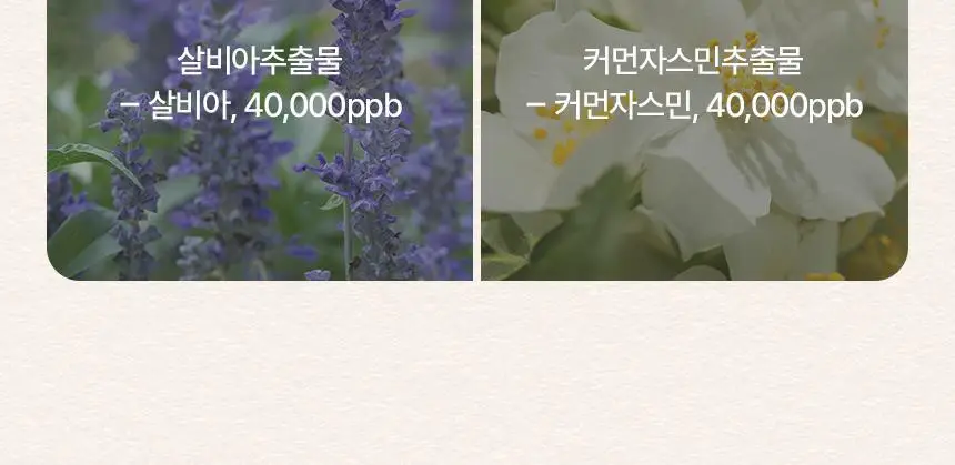 [리뉴얼] 쿤달 퍼퓸 디퓨저 200ml 4종 택1 상세페이지 20
